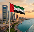 Local Representation - Foreign Businesses